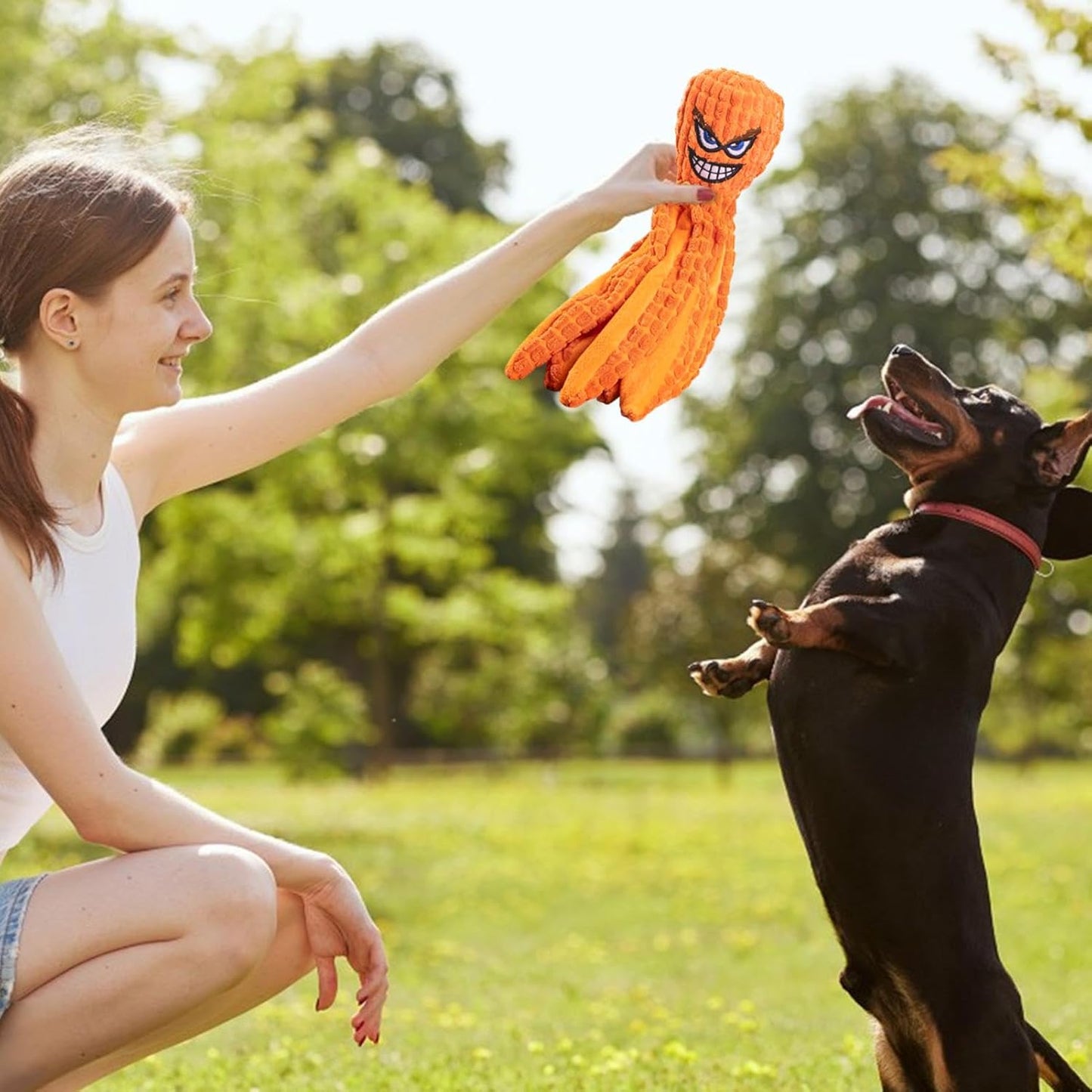 Dog Toys, Squeaky Dog Toys, Octopus Puppy Teething Squeaky Crib Toys - Bite Resistant Pet Products for Small Medium Breeds and